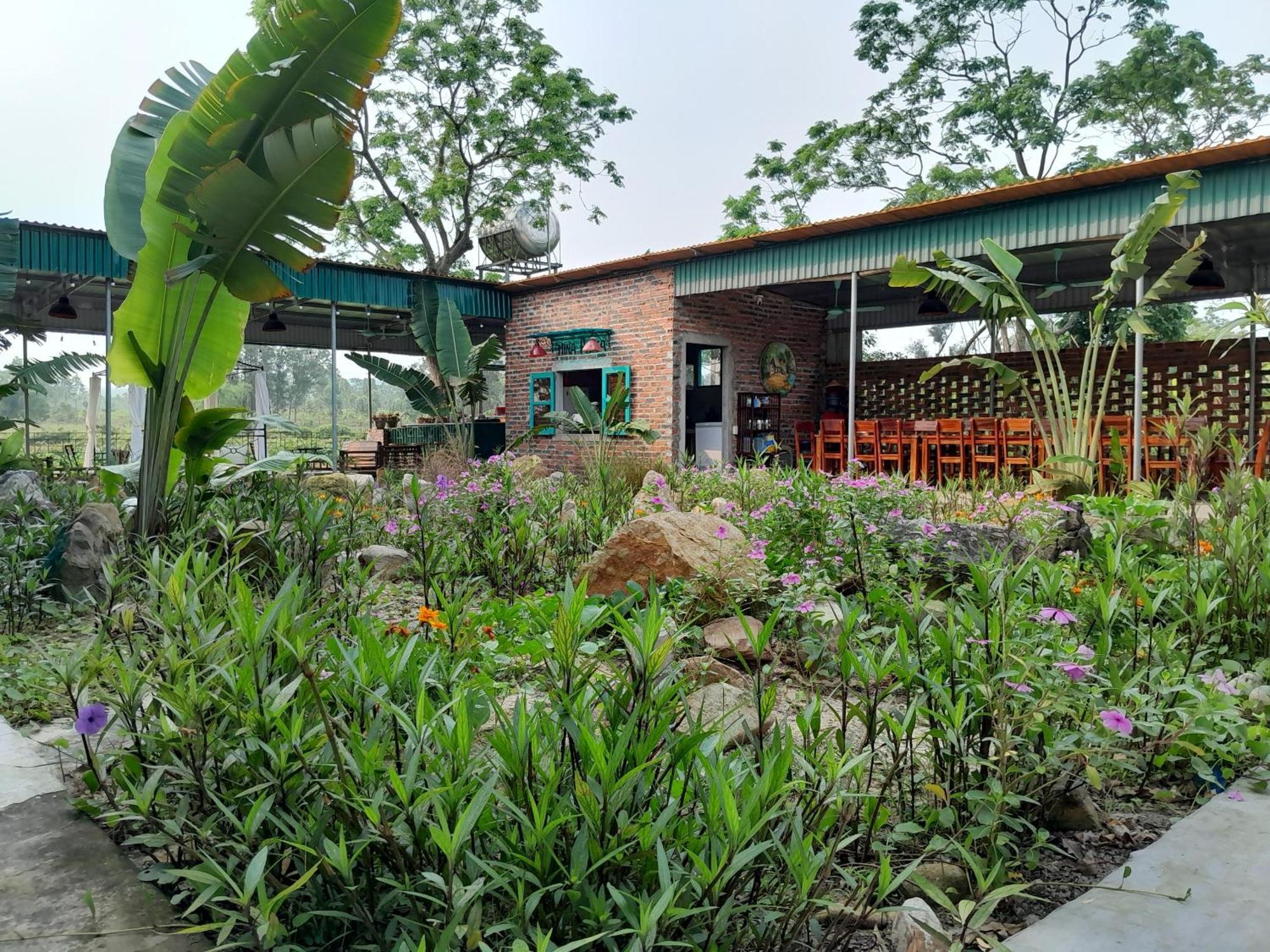 קוואן לאן Mina Cafe & Stay מראה חיצוני תמונה